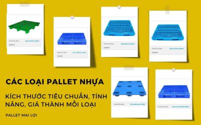 Cac-loai-pallet-nhua-Kich-thuoc-tieu-chuan-tinh-nang-gia-thanh-moi-loai