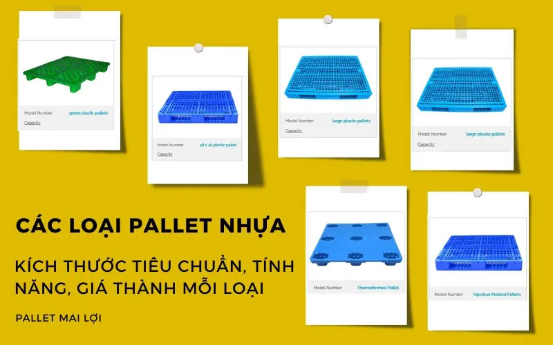 Cac-loai-pallet-nhua-Kich-thuoc-tieu-chuan-tinh-nang-gia-thanh-moi-loai