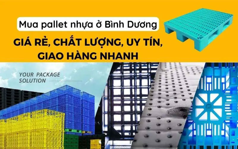 Mua pallet nhựa ở Bình Dương giá rẻ uy tín, giao hàng nhanh 1 Mua-pallet-nhua-o-Binh-Duong-gia-re-chat-luong-uy-tin-giao-hang-nhanh