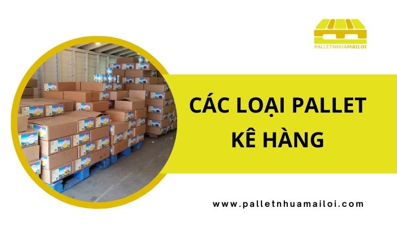 Các loại pallet kê hàng phổ biển? Nên chọn loại nào? 1 Pallet kê hàng