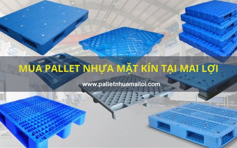 Mua pallet nhựa mặt kín tại Mai Lợi