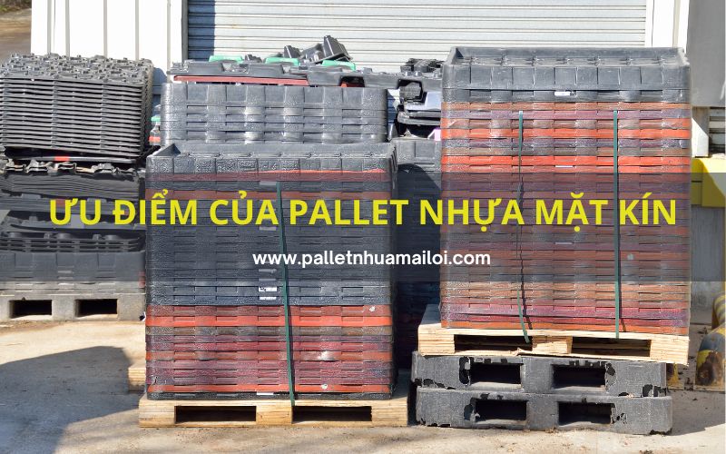 Pallet nhựa mặt kín được sử dụng nhiều trong lưu trữ hàng hóa và vận chuyển