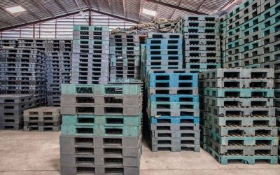 Mai Lợi - Đơn Vị Cung Cấp Pallet Nhựa Tại Bình Chánh - TP.HCM