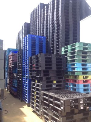 Bảng Giá Pallet Nhựa Và Yếu Tố Ảnh Hưởng Bù Đăn