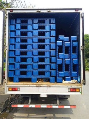 Chuyên Gia Kỹ Thuật Pallet Nhựa Lộc Ninh