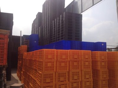 Mai Lợi Phát Triển Bền Vững Bù Đăng Vì Tương Lai Xanh
