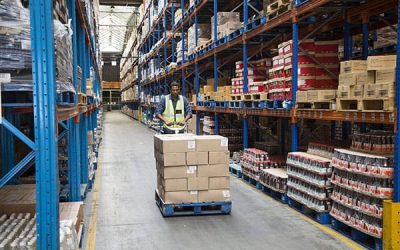 Cơ Sở Mua Bán Pallet Nhựa Uy Tín Tại TX. Bà Rịa - Vũng Tàu