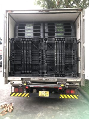 Mua Bán Pallet Nhựa Uy Tín Tại TX. Phú Mỹ - Bà Rịa Vũng Tàu