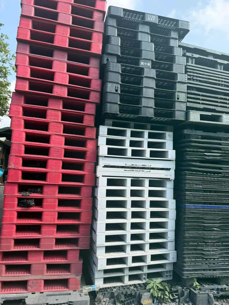 Pallet Nhựa Lót Sàn — Giải Pháp Chống Ẩm, Chống Mốc Hiệu Quả 2 Pallet Nhựa Lót Sàn — Chống Ẩm, Chống Mốc Hiệu Quả